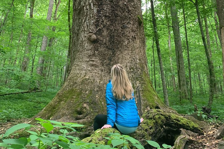 Connect more deeply with yourself and our wild world